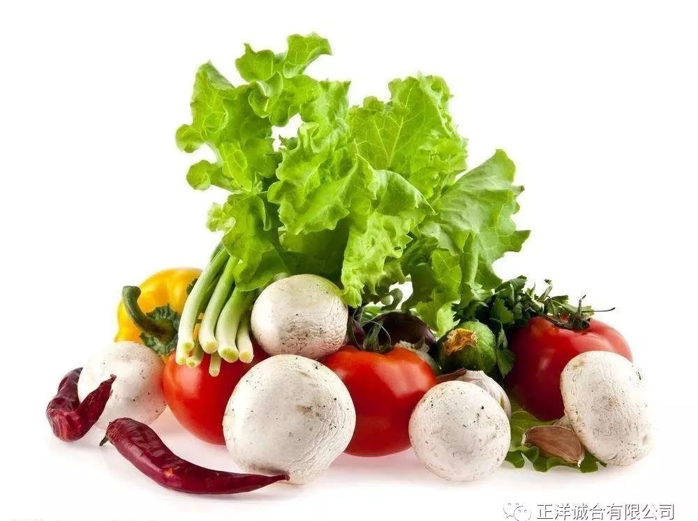 第六届黑龙江绿色食品产业博览会暨哈尔滨世界农业博览会