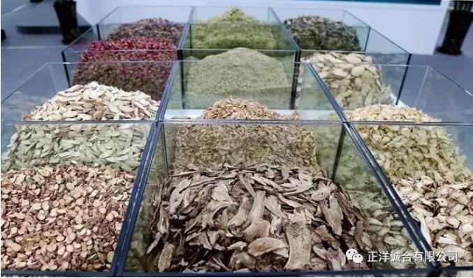 中国甘肃中医药产业博览会于今日盛大开幕