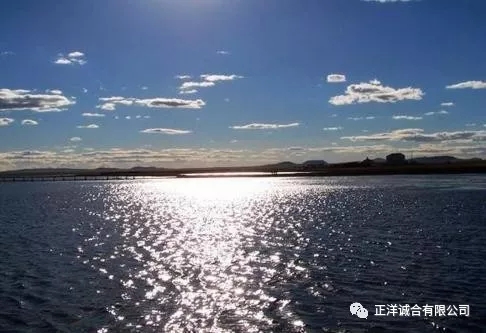 【聚焦】甘肃，一个风华绝代的“美人”！来啊，有你想要的！